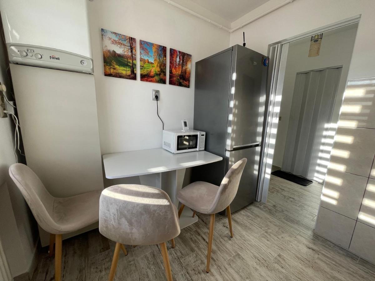 Tei Apartment - Lucian Blaga Сату-Маре Екстер'єр фото