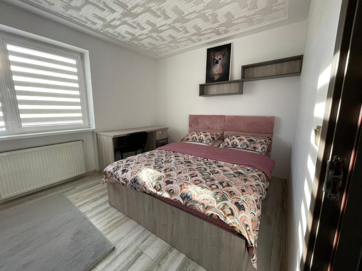 Tei Apartment - Lucian Blaga Сату-Маре Екстер'єр фото