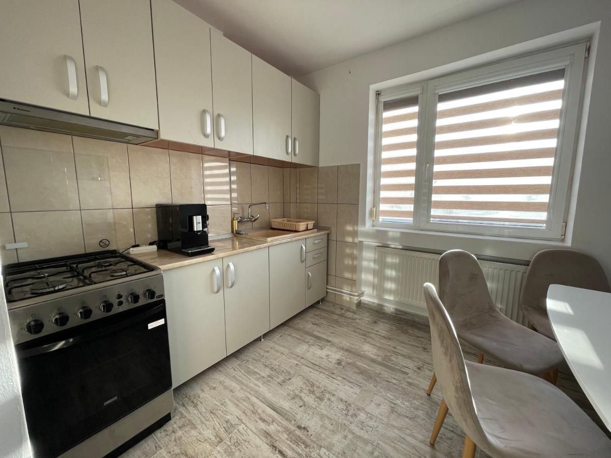 Tei Apartment - Lucian Blaga Сату-Маре Екстер'єр фото