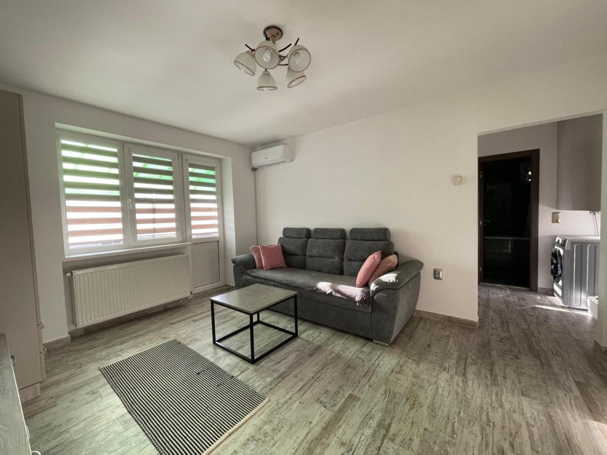 Tei Apartment - Lucian Blaga Сату-Маре Екстер'єр фото